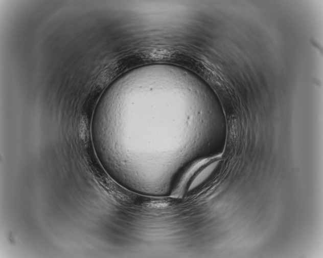 X0000094770651200712071135