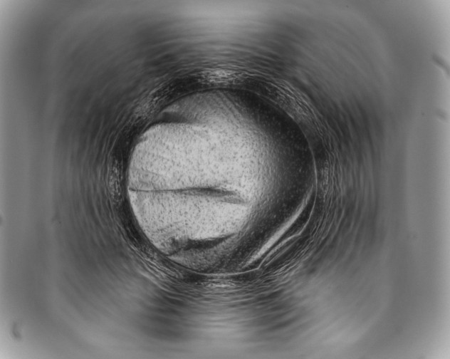 X0000094770653200712071135