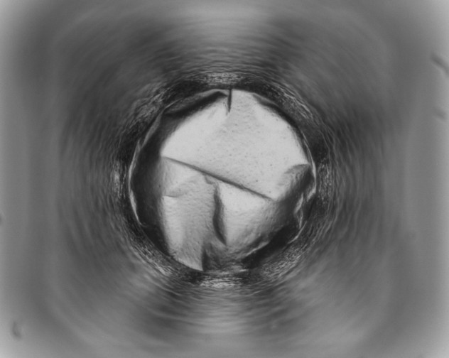 X0000094770655200712071135