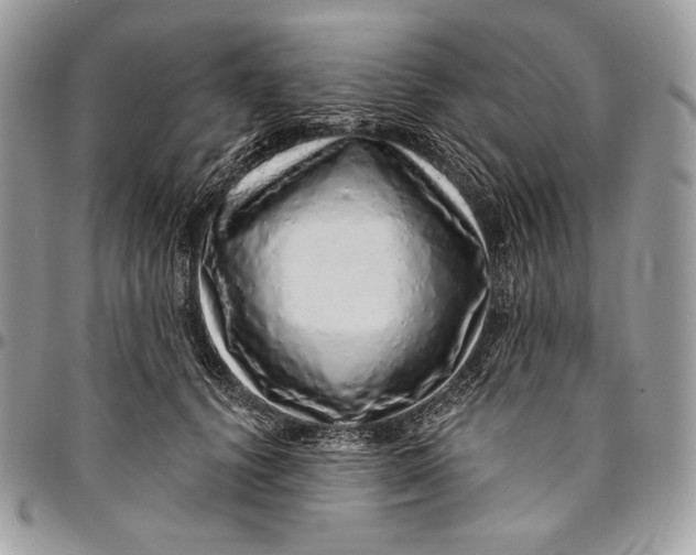 X0000094770656200712071135