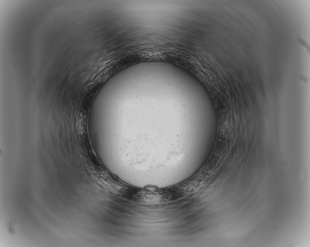 X0000094770658200712071135