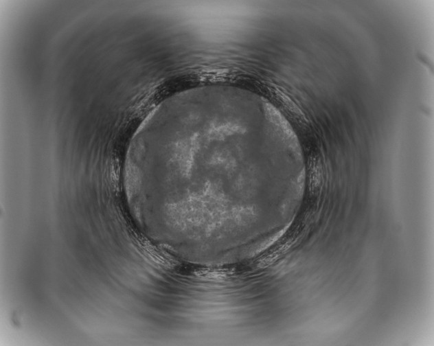 X0000094770661200712071135