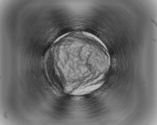 X0000094770664200712071135