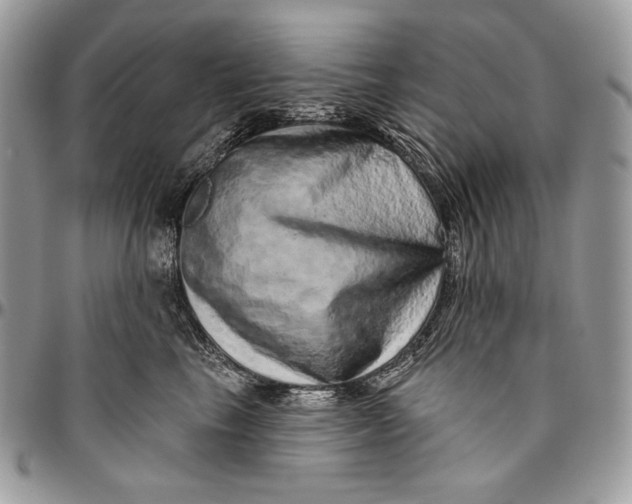 X0000094770665200712071135