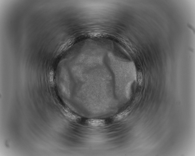 X0000094770670200712071135