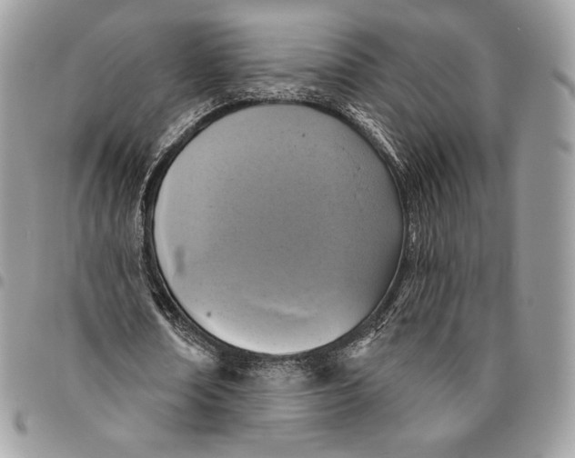 X0000094770674200712071134