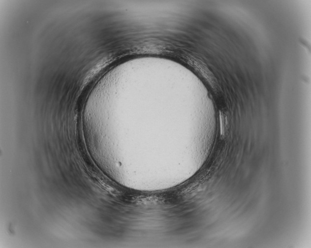 X0000094770675200712071134