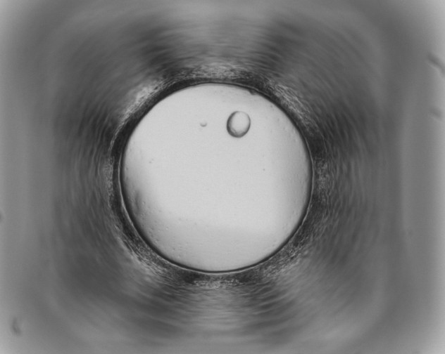 X0000094770679200712071134