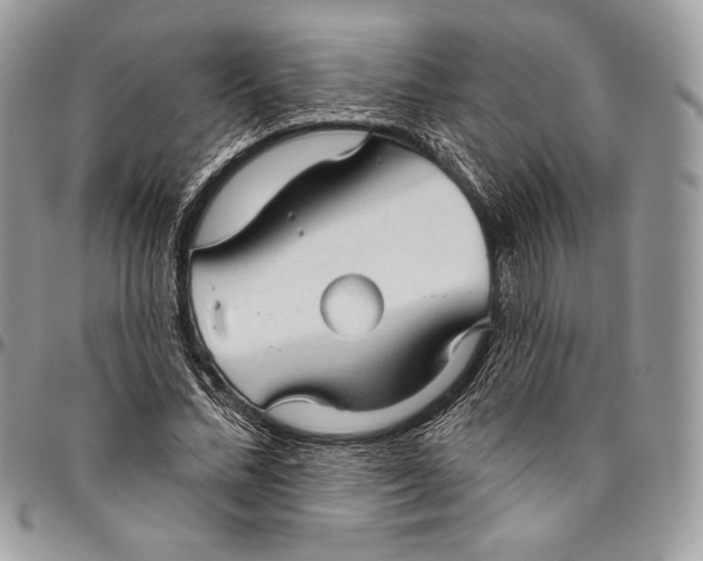 X0000094770684200712071134