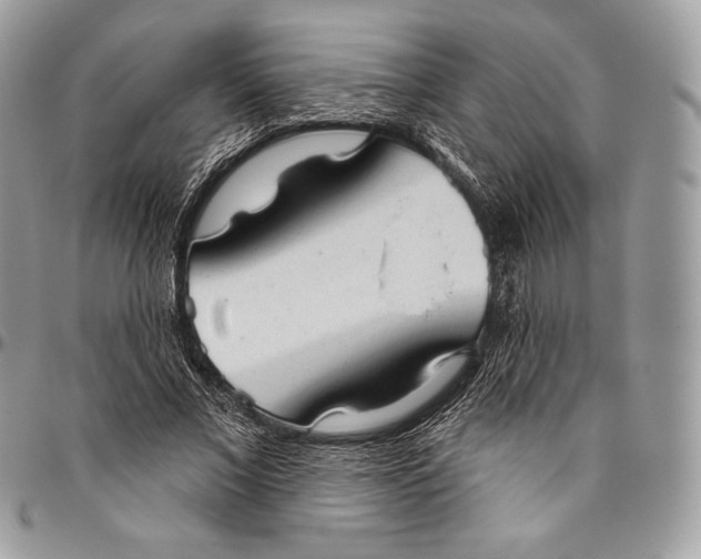 X0000094770685200712071134