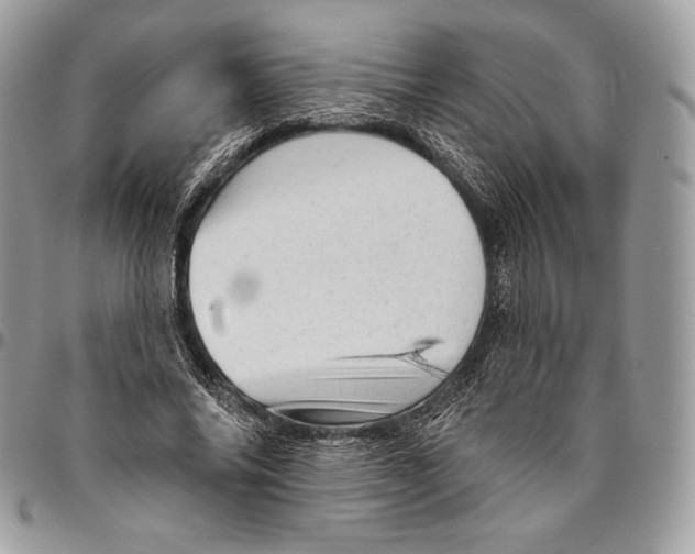 X0000094770686200712071134