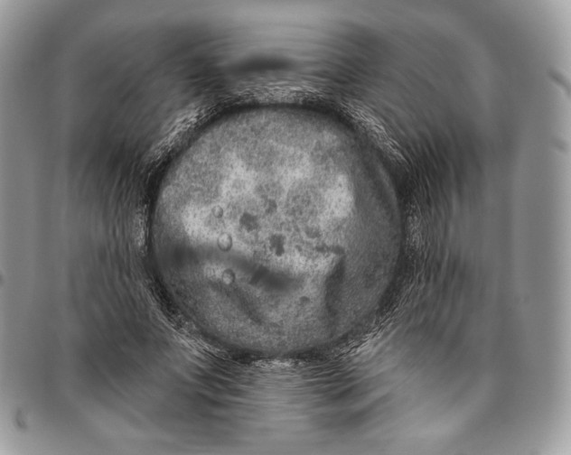 X0000094770687200712071134