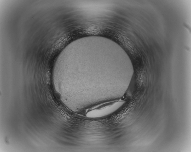 X0000094770689200712071134