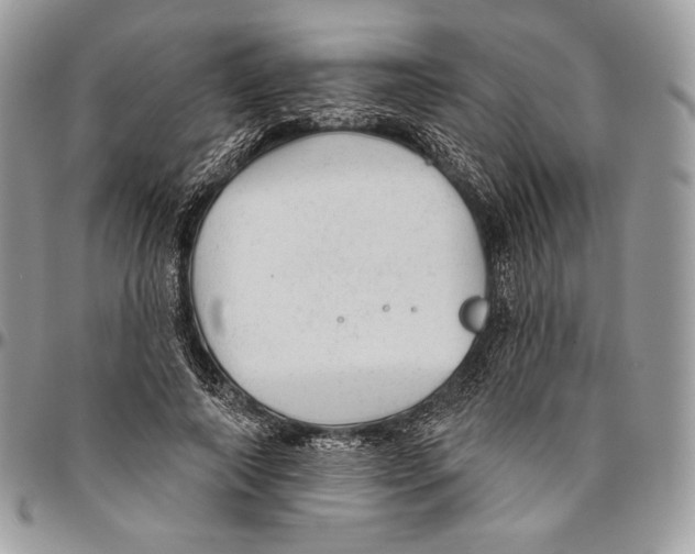 X0000094770690200712071134