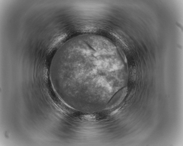 X0000094770692200712071134