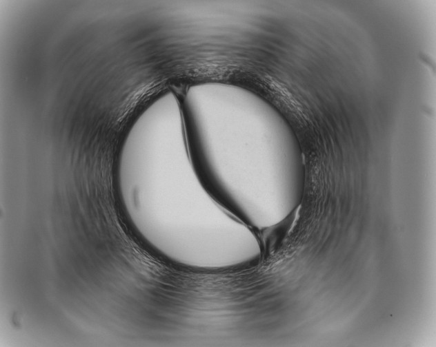 X0000094770693200712071134