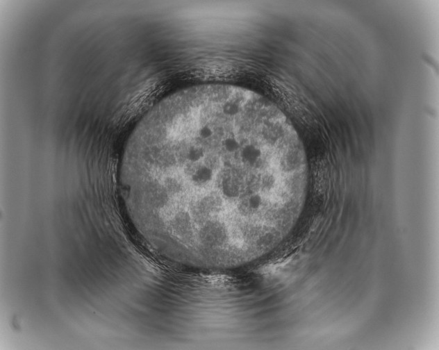 X0000094770695200712071134