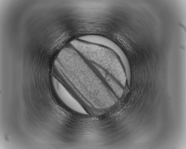 X0000094770696200712071134