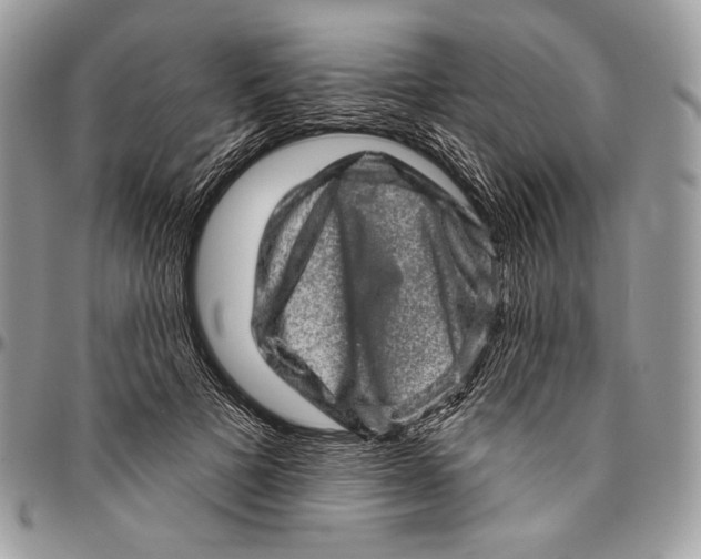 X0000094770697200712071134