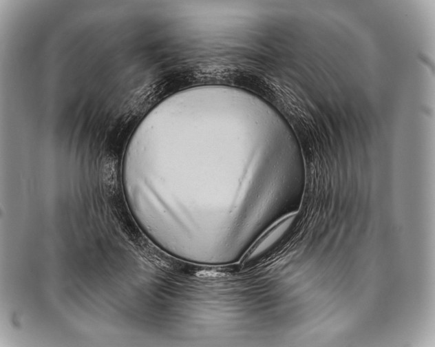 X0000094770699200712071134