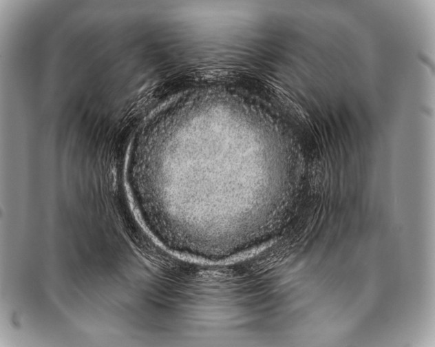 X0000094770703200712071134