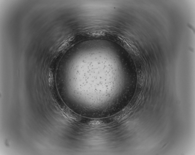 X0000094770704200712071134