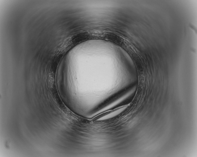 X0000094770707200712071134