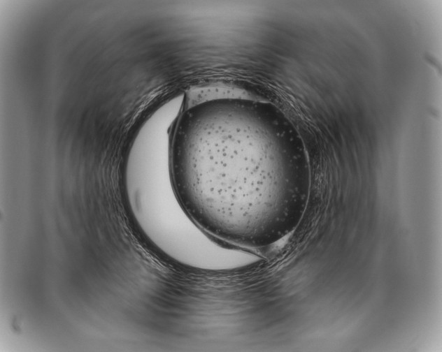 X0000094770708200712071134