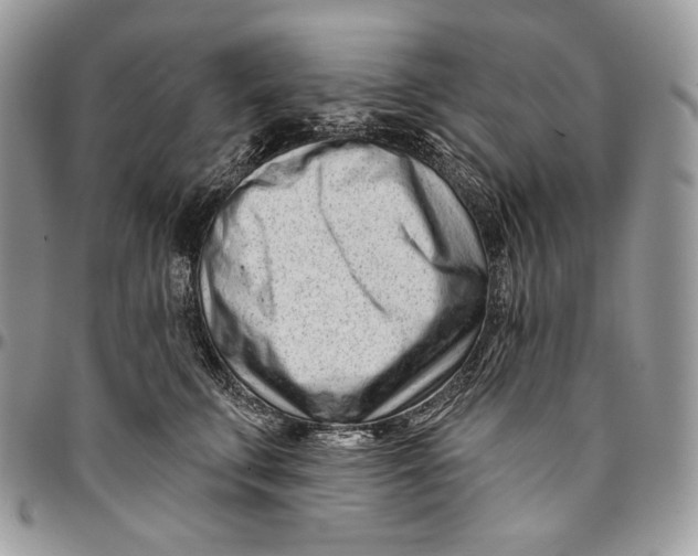 X0000094770711200712071134