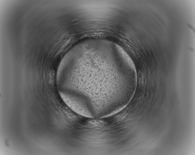 X0000094770712200712071134