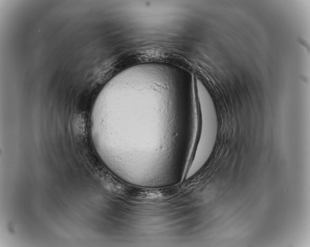 X0000094770715200712071133