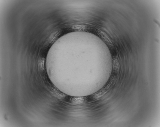 X0000094770717200712071133