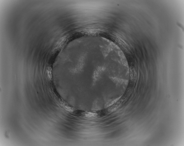 X0000094770718200712071133