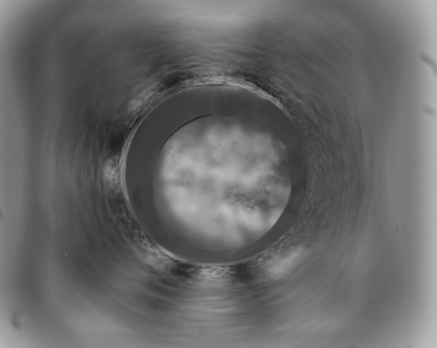 X0000094770720200712071133