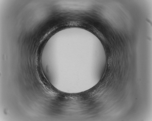 X0000094770722200712071133