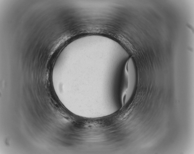 X0000094770723200712071133