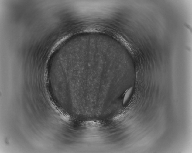 X0000094770724200712071133