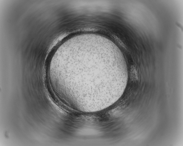 X0000094770726200712071133