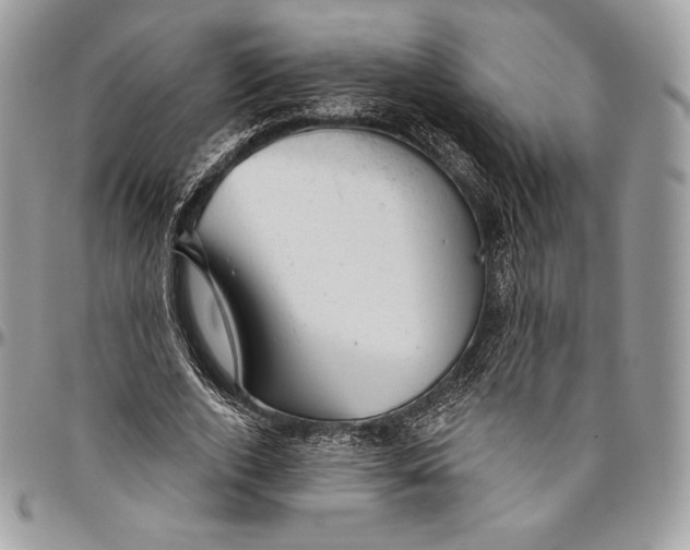 X0000094770728200712071133