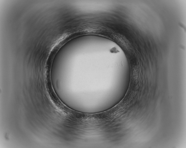 X0000094770730200712071133