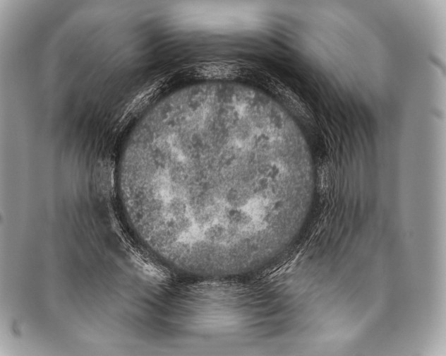 X0000094770733200712071133