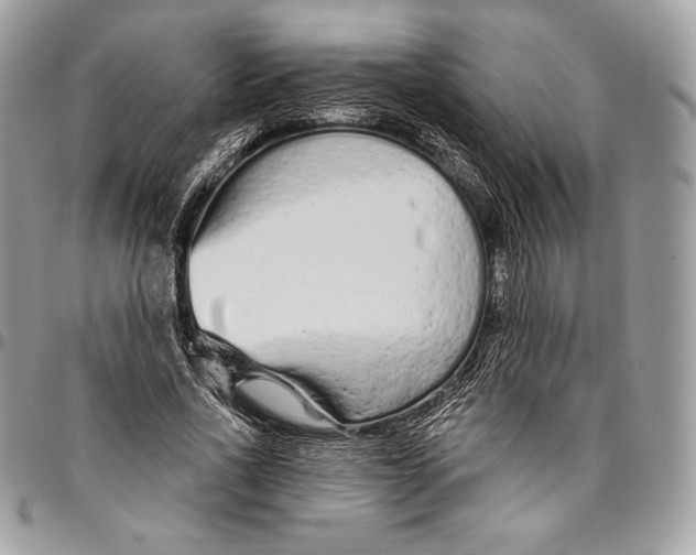 X0000094770734200712071133