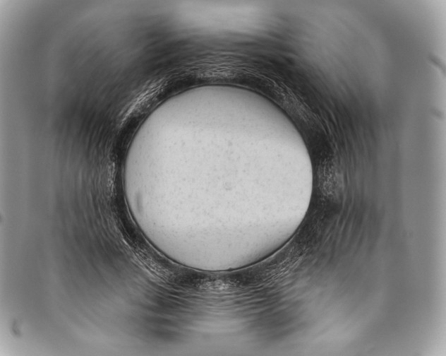 X0000094770735200712071133