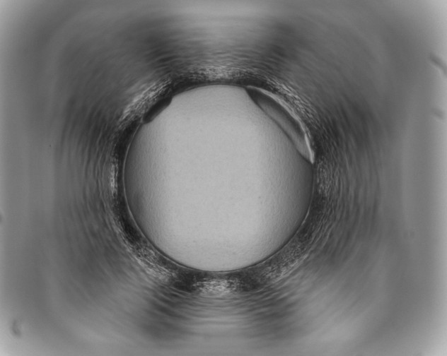 X0000094770740200712071133