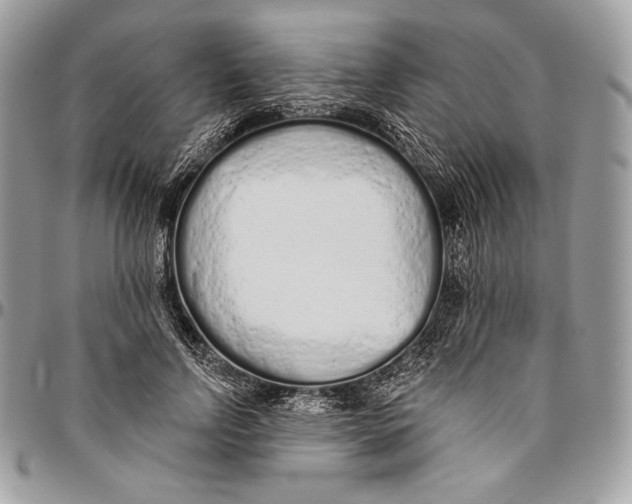 X0000094770742200712071133