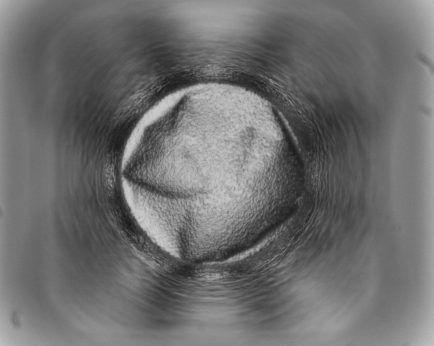 X0000094770746200712071133