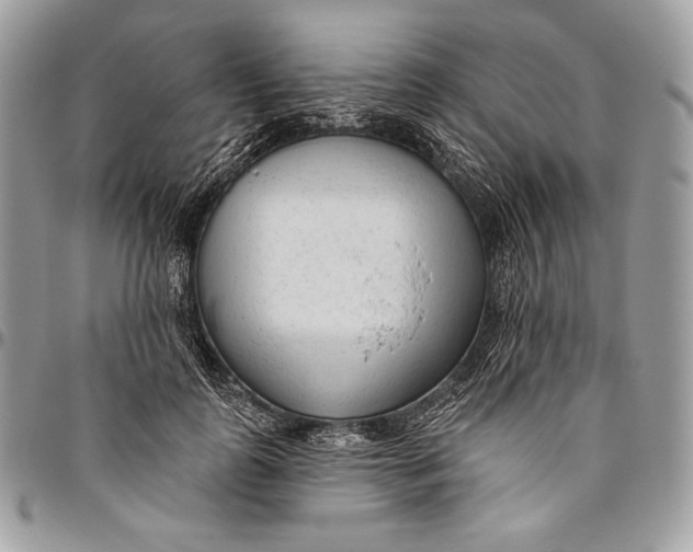 X0000094770747200712071133