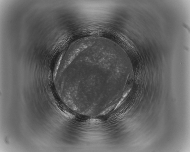 X0000094770748200712071133