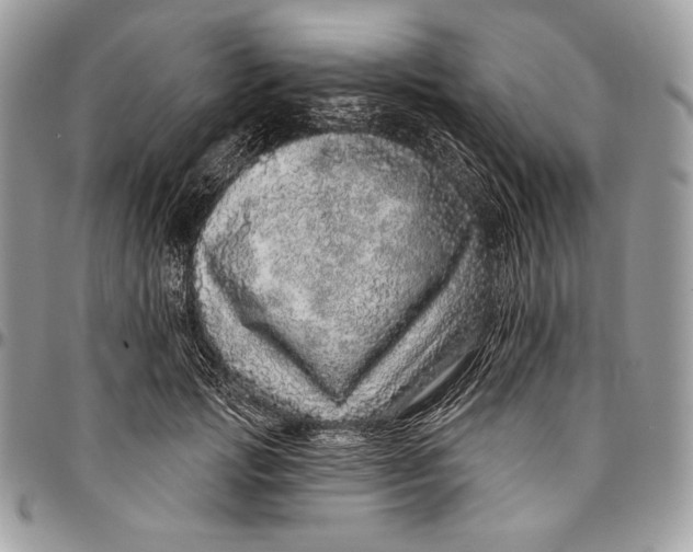 X0000094770749200712071133