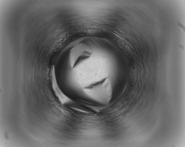 X0000094770750200712071133